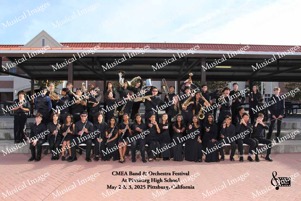 Musical Images